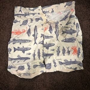 Crewcuts Cream and Blue Fish Print Swim Trunks